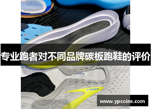 专业跑者对不同品牌碳板跑鞋的评价