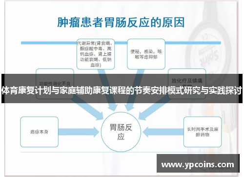 体育康复计划与家庭辅助康复课程的节奏安排模式研究与实践探讨