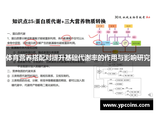 体育营养搭配对提升基础代谢率的作用与影响研究